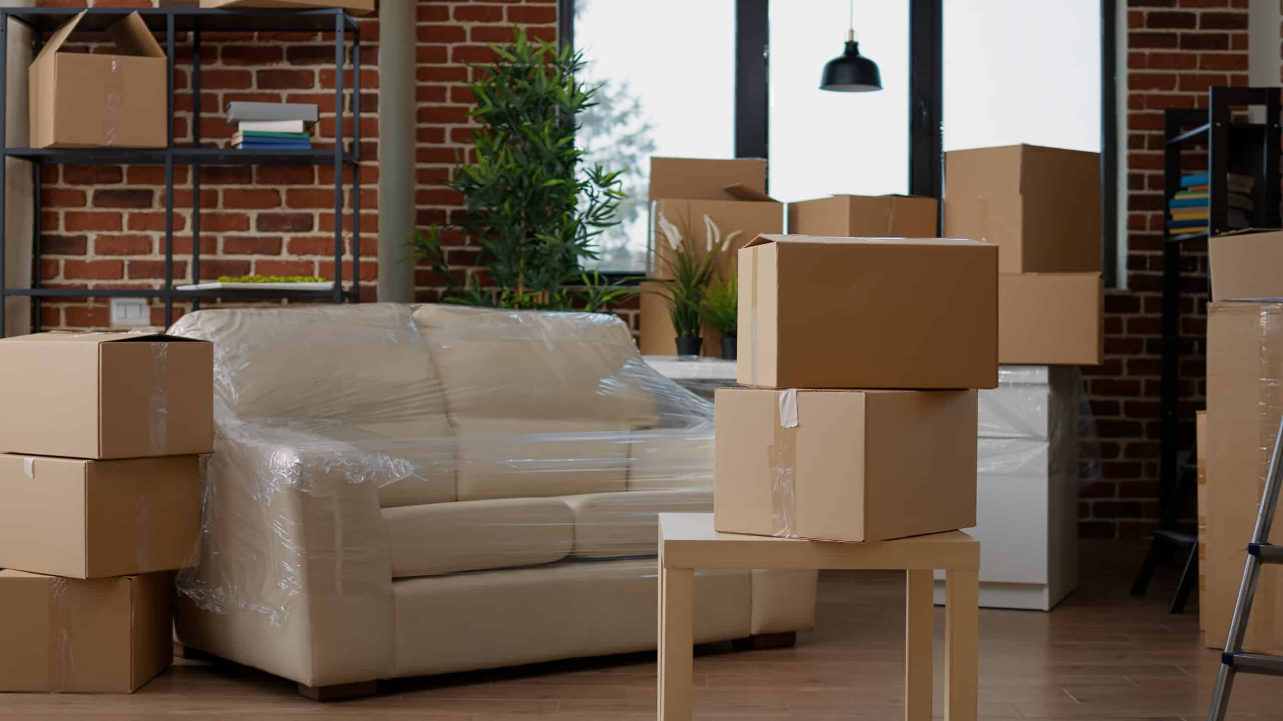 no-people-living-room-interior-move-with-carton-boxes-empty-real-estate-property-full-cardboard-packing-storage-cargo-nobody-apartment-relocation-moving-day (1)